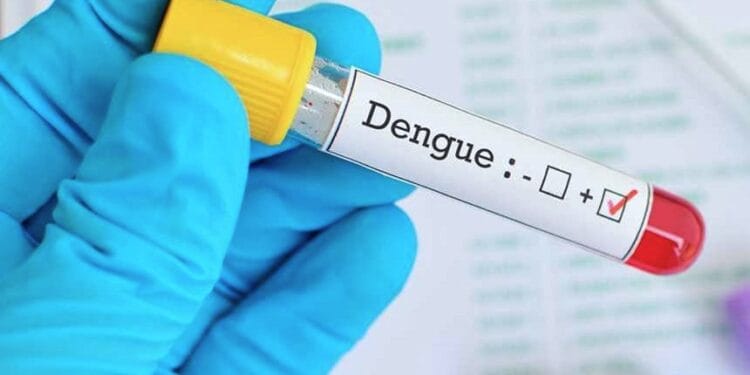 Saúde chama atenção da população para a realização de testes das arboviroses