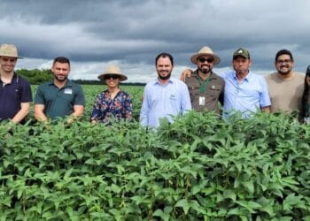 Representantes da Embaixada Americana visitam lavouras de soja no sul do Tocantins 