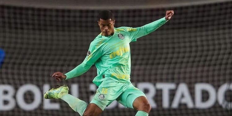 Pedro Felipe, zagueiro da base do Palmeiras — Foto: Arquivo Pessoal