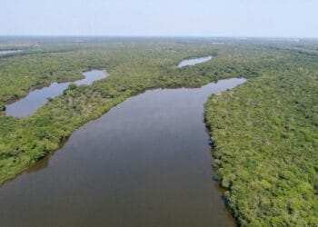 Calendário de reuniões ordinárias dos conselhos de estaduais de pautas ambientais estão disponíveis no site da Semarh