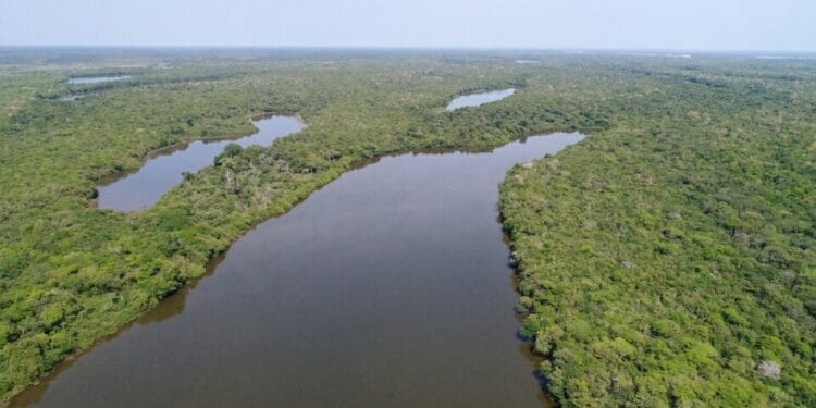 Calendário de reuniões ordinárias dos conselhos de estaduais de pautas ambientais estão disponíveis no site da Semarh