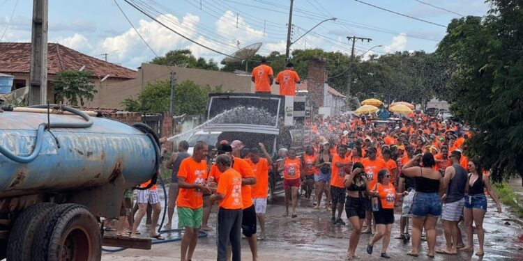 Bloquinho da Segurança: veja como curtir a folia em casa ou nas ruas sem perder a Energia 