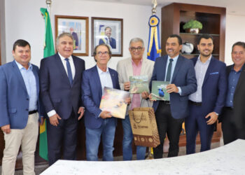 Participaram da reunião o vice-governador Laurez Moreira, diretores do Sebrae-TO e parte do secretariado estadual