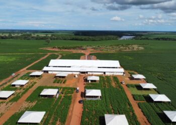 Sebrae Tocantins leva debate sobre economia e sustentabilidade no agronegócio
