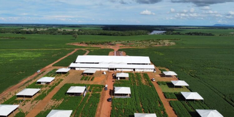 Sebrae Tocantins leva debate sobre economia e sustentabilidade no agronegócio