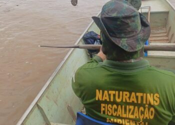 Operação Piracema do Naturatins recolhe 1,8 mil metros de redes de pesca e um animal silvestre