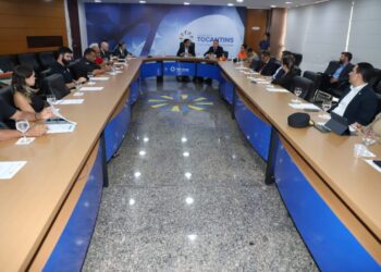 Conselho de Segurança do Tocantins realiza primeira reunião ordinária de 2024