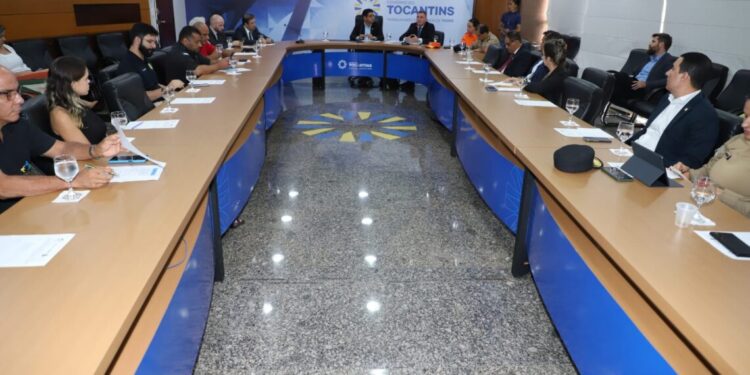 Conselho de Segurança do Tocantins realiza primeira reunião ordinária de 2024