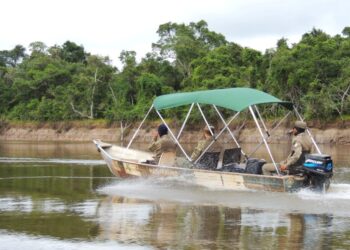 A menos de 30 dias para o fim da Piracema, Naturatins apreende 400 metros de redes e 20 quilos de pescado