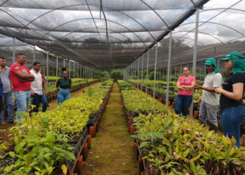 Alunos de Agronomia visitam o Parque Estadual do Lajeado