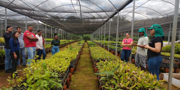 Alunos de Agronomia visitam o Parque Estadual do Lajeado