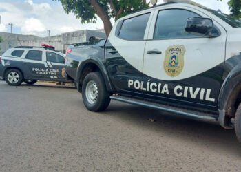Em Palmas, Delegacia de Repressão às Infrações de Menor Potencial Ofensivo divulga balanço de ações do ano de 2023