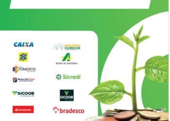 Sebrae Tocantins cria ambiente virtual para acesso ao crédito