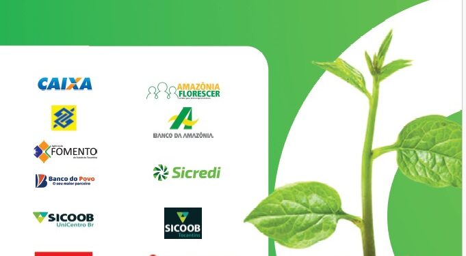 Sebrae Tocantins cria ambiente virtual para acesso ao crédito