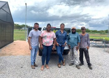 Secretaria de Meio Ambiente recebe sementes do Comitê de Bacias Hidrográficas do Lago de Palmas (CBHLP).