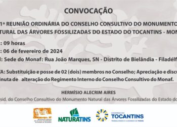 Conselho Consultivo do Monaf se reúne nesta terça-feira, 6, em Bielândia
