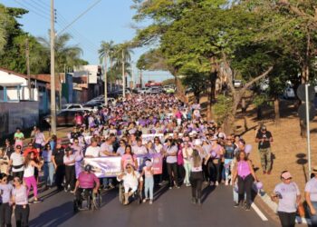 Delegacia da Mulher de Araguaína alcança a marca de quase mil inquéritos policiais finalizados e remetidos ao Poder Judiciário