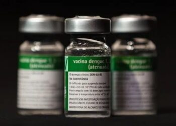 Vacina do Butantan contra a dengue
Divulgação/Butantan