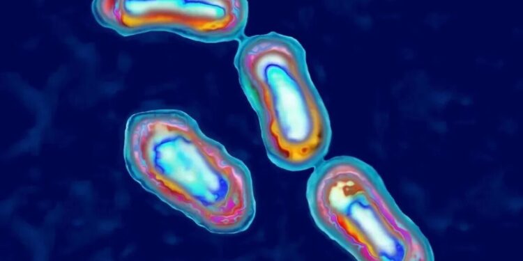 Caso incomum de peste bubônica foi identificado nos EUA