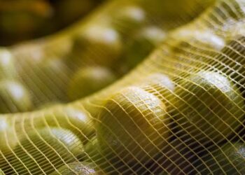 Oferta restrita mantém preços da laranja em alta