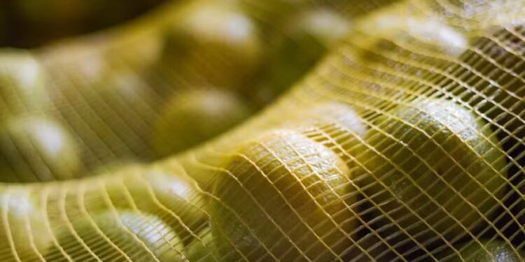 Oferta restrita mantém preços da laranja em alta