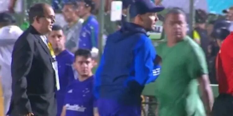 Técnico do Cruzeiro é atacado por formigas em jogo da Copa do Brasil, relata jornalista