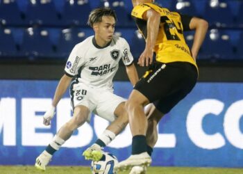 Segovinha troca Botafogo por outro time de Textor