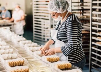 Pequenas empresas respondem por 8 em cada 10 empregos criados em 2023, mostra Sebrae