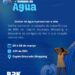 BRK divulga programação da semana da água no Tocantins e Pará e convida população para atividade de imersão sensorial do Capim Dourado Shopping