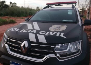 Em Paraíso do Tocantins, Polícia Civil prende homem por maus tratos a animal