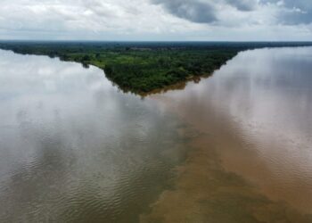 No Dia da Água, Naturatins reforça o compromisso do Governo do Estado com a gestão dos recursos hídricos