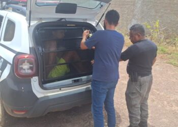 Homem que tem passagens por tráfico de drogas, roubos e organização criminosa é preso pela Polícia Civil em Paraíso