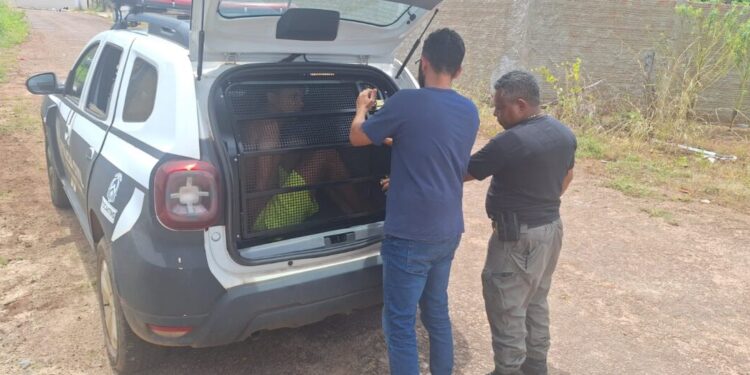Homem foi capturado durante ação da Polícia Civil na manhã de hoje em Paraíso