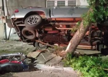 Caminhonete ficou presa entre árvore e parede de casa durante acidente — Foto: PM/Divulgação