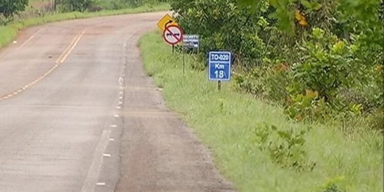 Rodovia entre Palmas e Aparecida do Rio Negro passa a ser BR-010