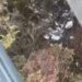 Corpo do piloto de avião que caiu no interior de SP é encontrado