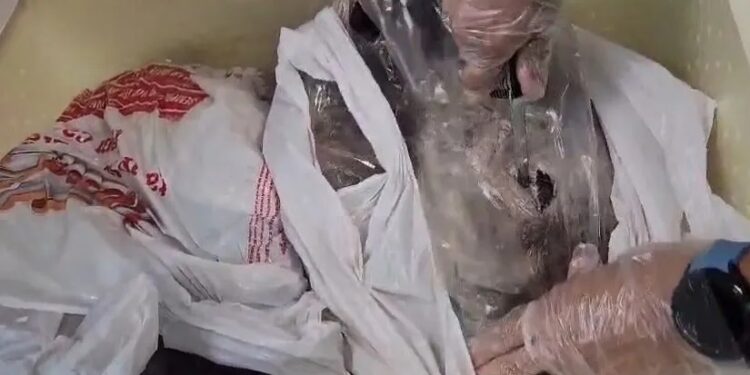 Homem é preso ao desembarcar no Galeão com maconha escondida dentro de peixes