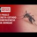 São Paulo decreta emergência por causa da dengue