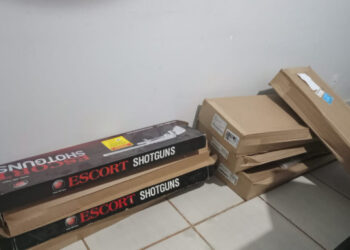 Polícia Militar prende homem por posse ilegal de arma de fogo e apreende armas em Palmas