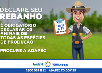 Produtores poderão antecipar a declaração obrigatória de animais a partir do dia 22 de abril