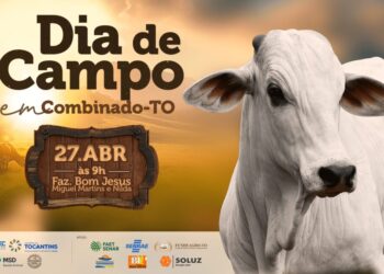 Adapec e órgãos parceiros realizam Dia de Campo em Combinado