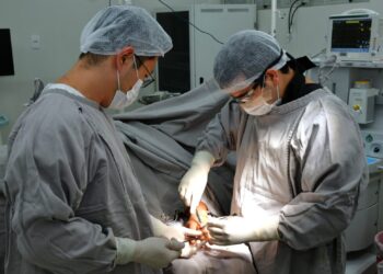 Governo do Tocantins bate recorde de cirurgias eletivas no mês de março