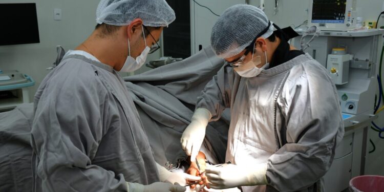 Governo do Tocantins bate recorde de cirurgias eletivas no mês de março