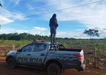 Operação Cantão II embarga áreas de desmatamento ilegal na região centro-oeste do Tocantins