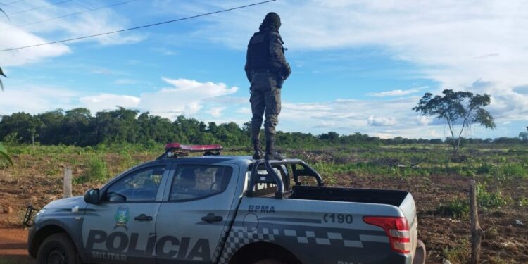 Operação Cantão II embarga áreas de desmatamento ilegal na região centro-oeste do Tocantins