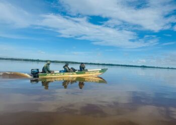Fiscalização apreende 70 quilos de pescado na região norte do Tocantins
