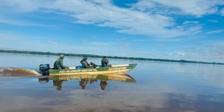 Fiscalização apreende 70 quilos de pescado na região norte do Tocantins