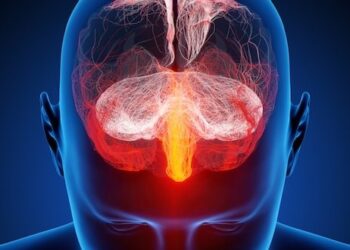 Reprodução Internet