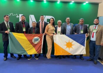 Câmara de Miracema presente na Marcha dos Legislativos em Brasília