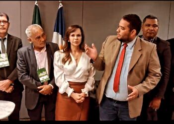 Vereadores levam demandas à senadora Dorinha em Brasília